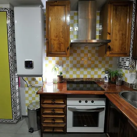 Penthouse 170 M2 Facing Alhambra & Privateterrace Apartment Granada